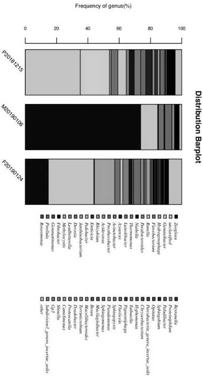 Method for improving denitrification efficiency of pig raising wastewater