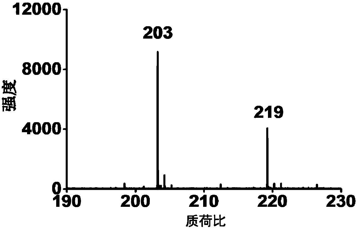 Mass spectrometry method for serum, gold-palladium-based matrix, and preparation method and application of matrix