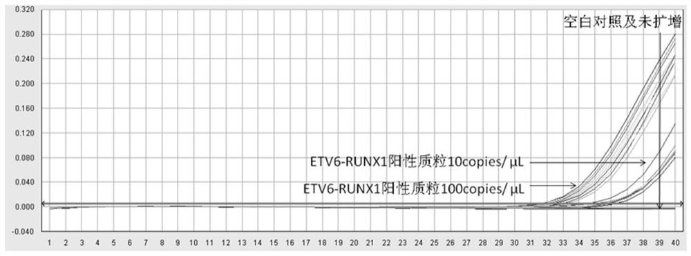 Oligonucleotide, method and kit for detecting ETV6-RUNX1 fusion gene in sample