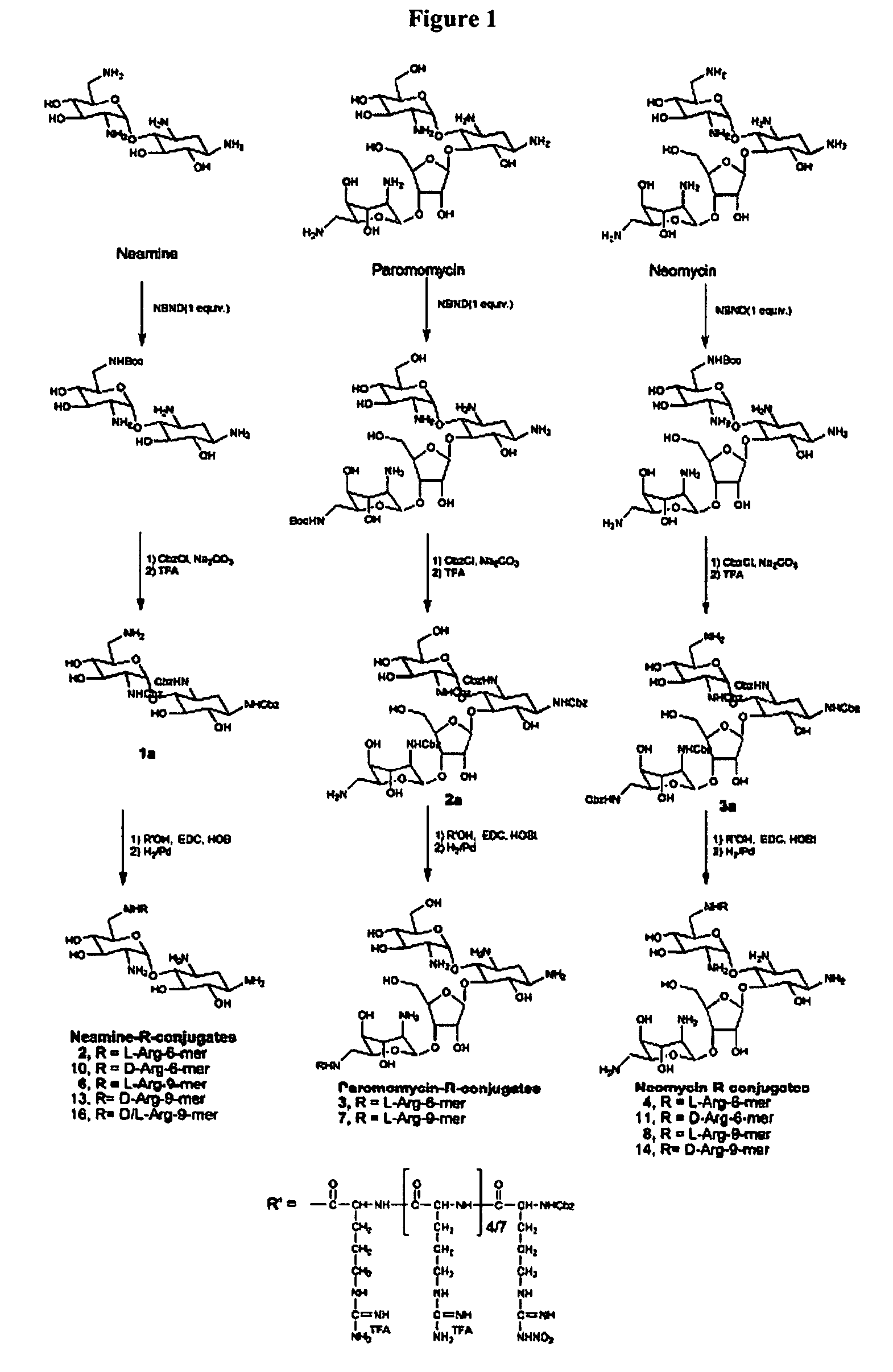 Novel conjugates of polysaccharides and uses thereof