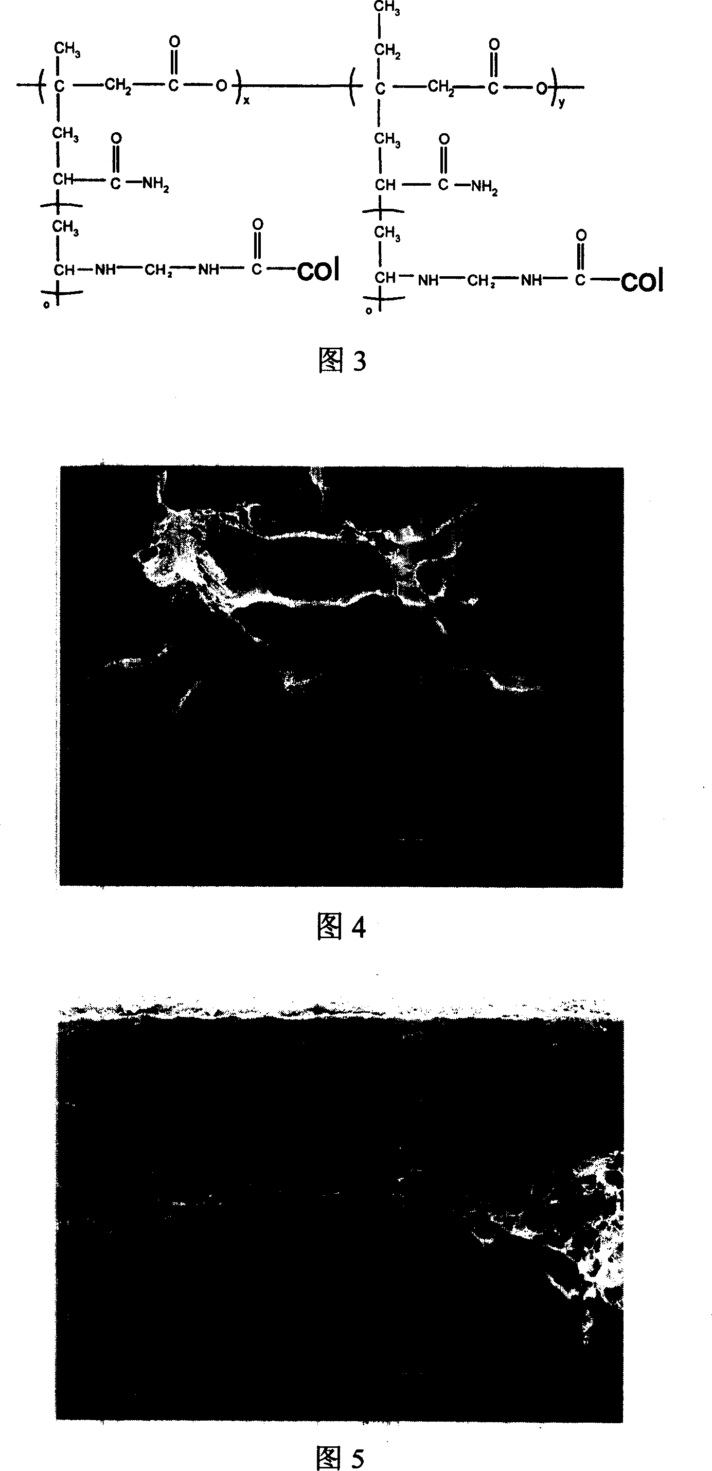 Collagen modified poly(3-hydroxybutyrate-3-hydroxyvalerate) and its preparing method and application