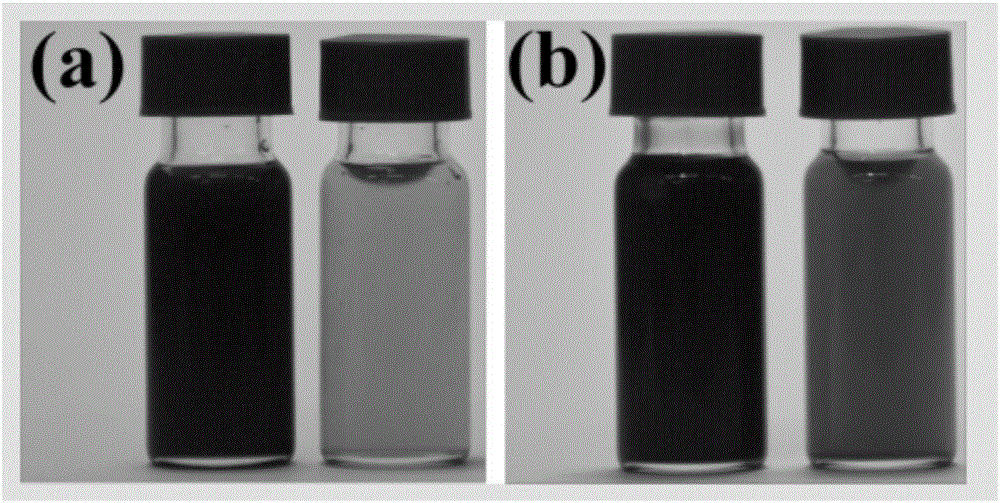 High-concentration molybdenum disulfide nanometer sheet dispersion liquid, and preparation method and application thereof