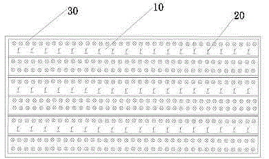 Method for interplanting Maling watermelons and purple sweet potatoes