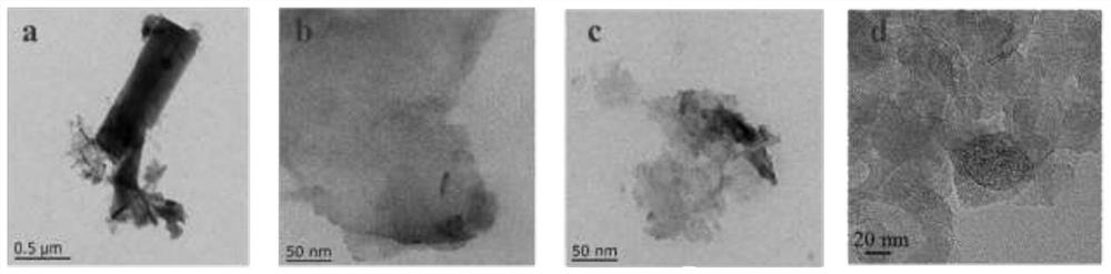 MgAl LDO/nitrogen vacancy carbon nitride-based photocatalyst as well as preparation method and application thereof