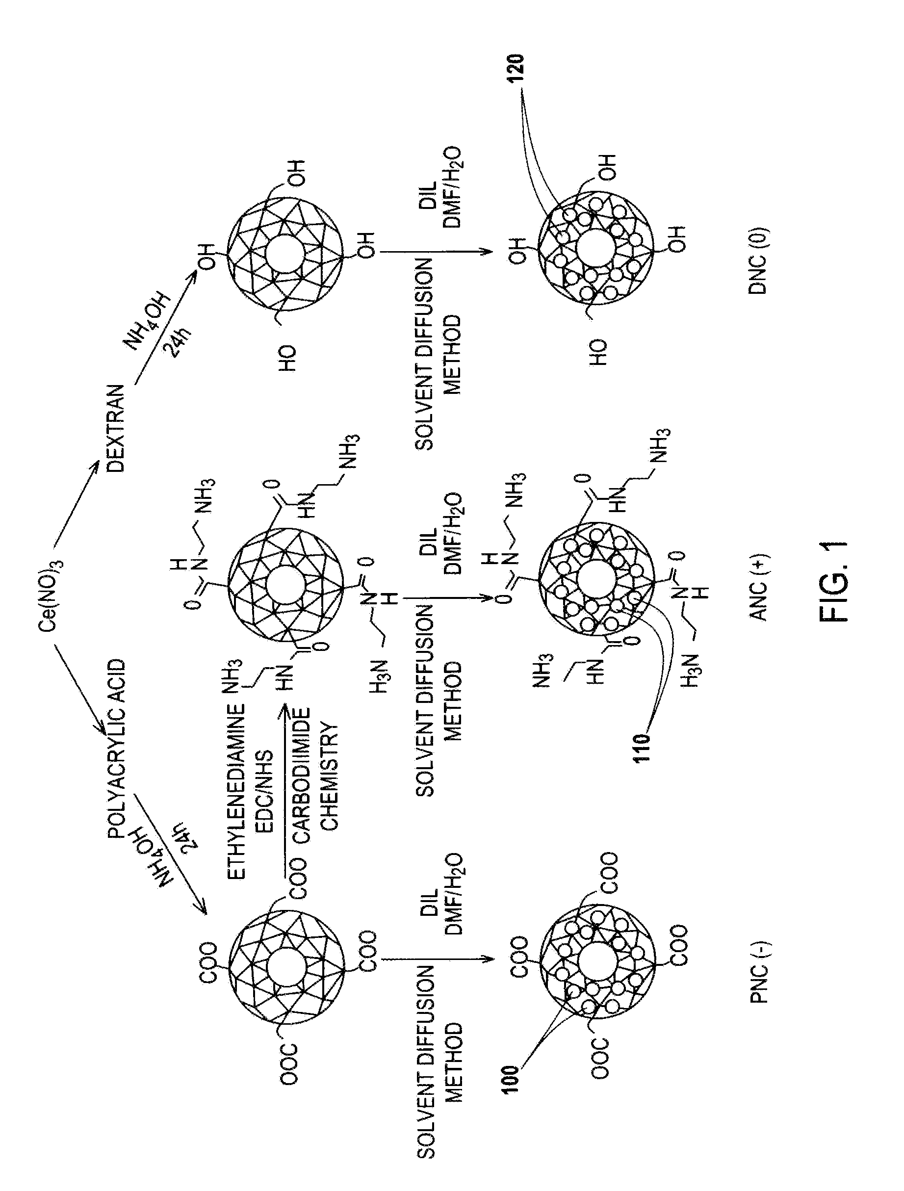 Application Device for Inducing Cytotoxicity to Tumor Cells Via Coated Cerium Oxide Nanoparticles