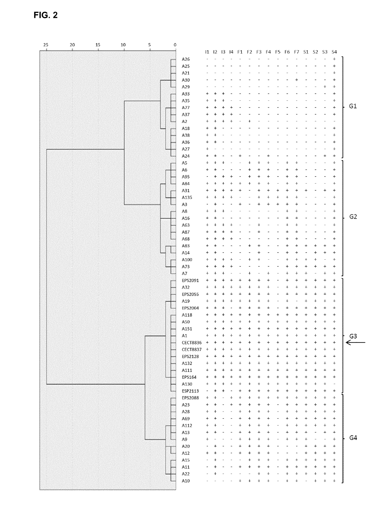 A strain of bacillus amyloliquefaciens and its use in the control of diseases caused by bacteria and fungi in plants