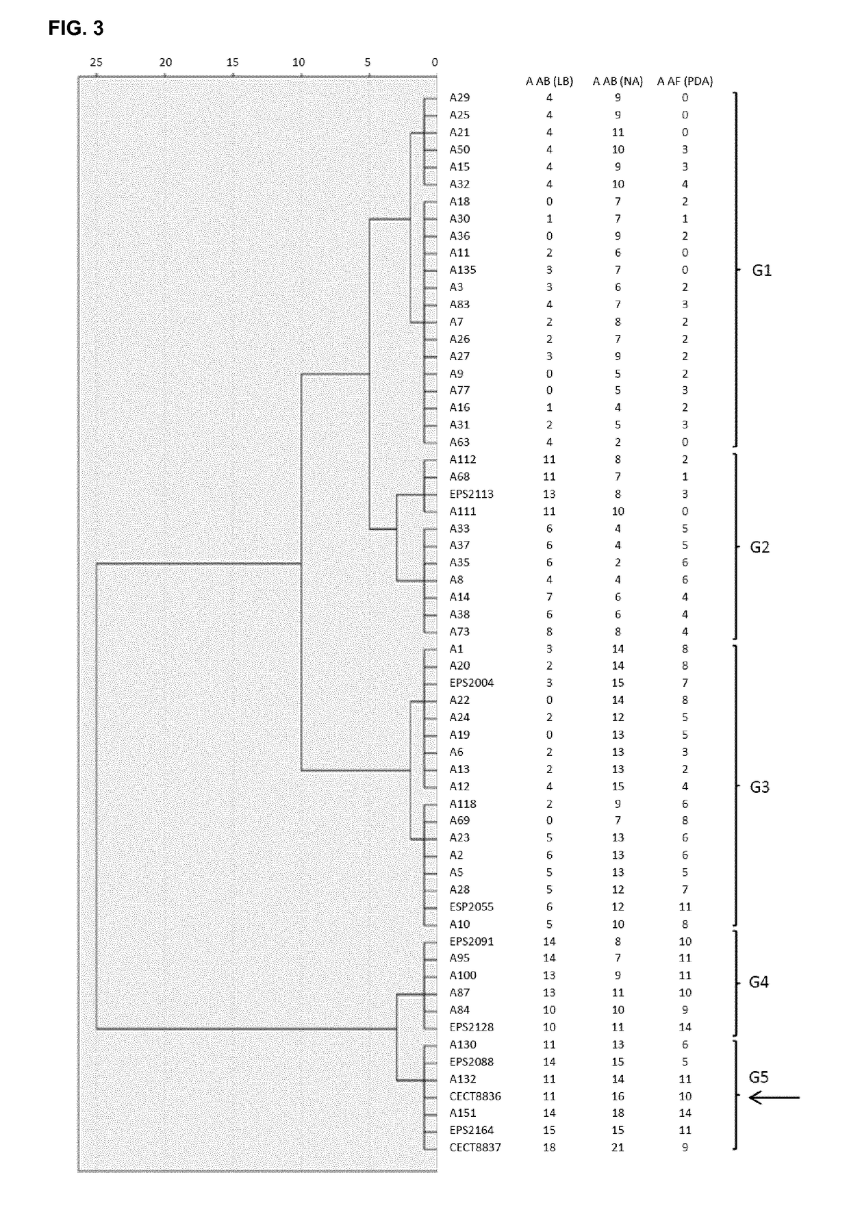 A strain of bacillus amyloliquefaciens and its use in the control of diseases caused by bacteria and fungi in plants