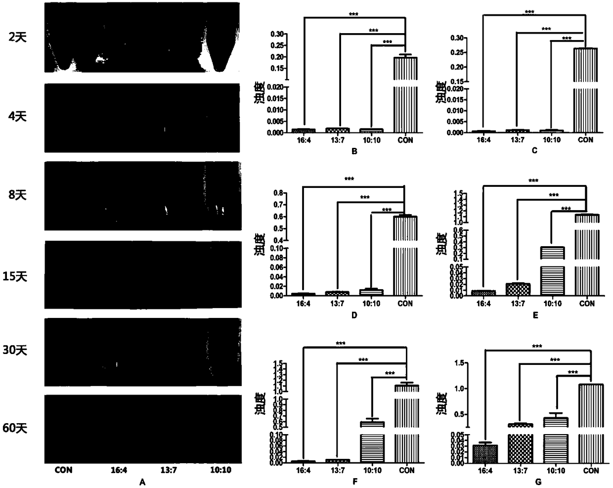 Novel temperature-sensitive hydrogel-like sealant and lubricant for dental implant system