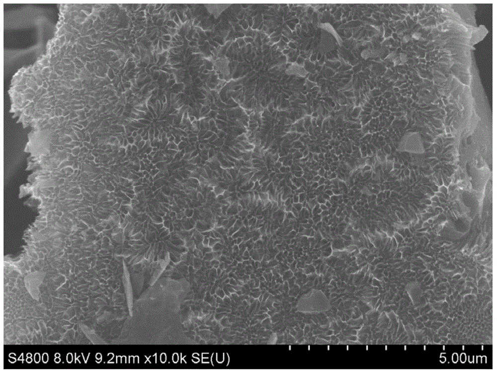 Graphitized carbon material and preparation method thereof, and supercapacitor