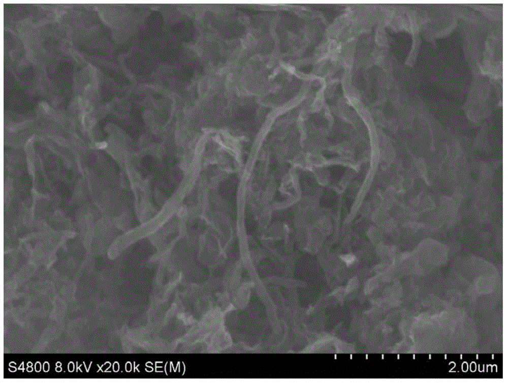 Graphitized carbon material and preparation method thereof, and supercapacitor