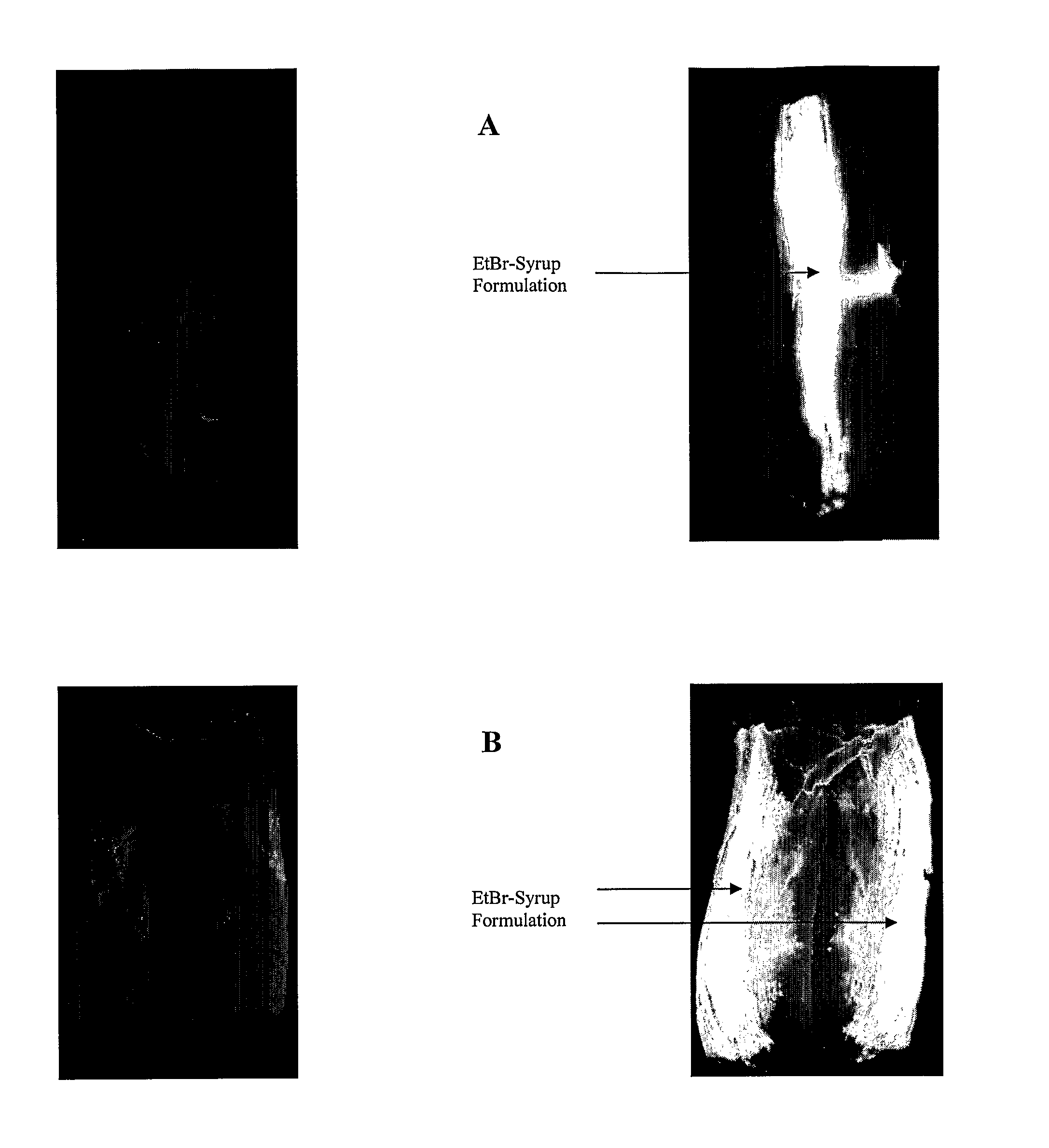 Adherent antimicrobial barrier and sanitizing agent