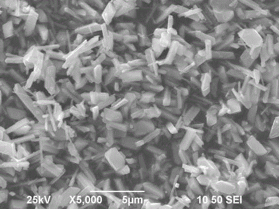 Biomimetic synthesis method of size-controllable prismatic bismuth phosphate photo-catalyst