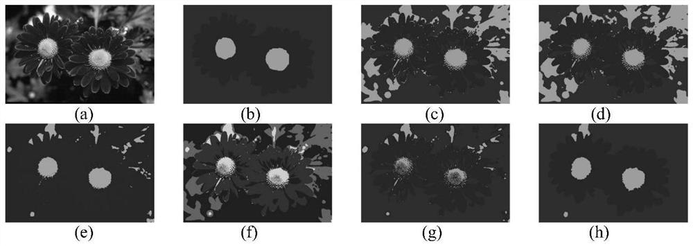 Agent-driven multi-objective evolutionary fuzzy clustering method based on preference information