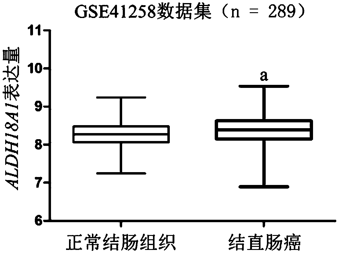 Application of ALDH18A1 in treatment and diagnosis of colorectal cancer