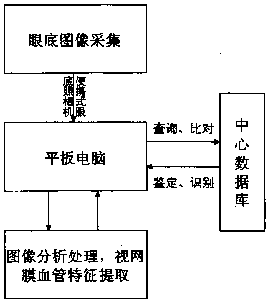 Human body identity identification instrument