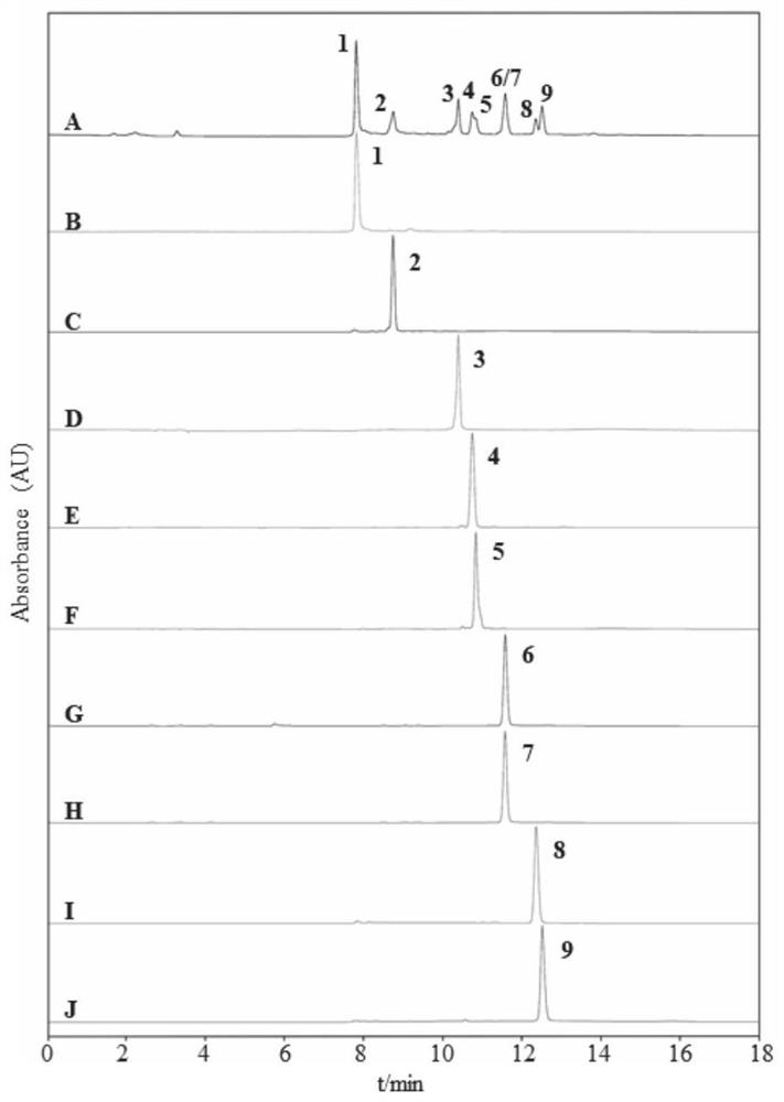 Preparation method of active ingredients in pleurospermum plant and application thereof in preparation of anti-inflammatory drugs