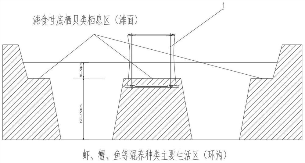 Intermediate temporary rearing device for genetic breeding family of mudflat shellfish