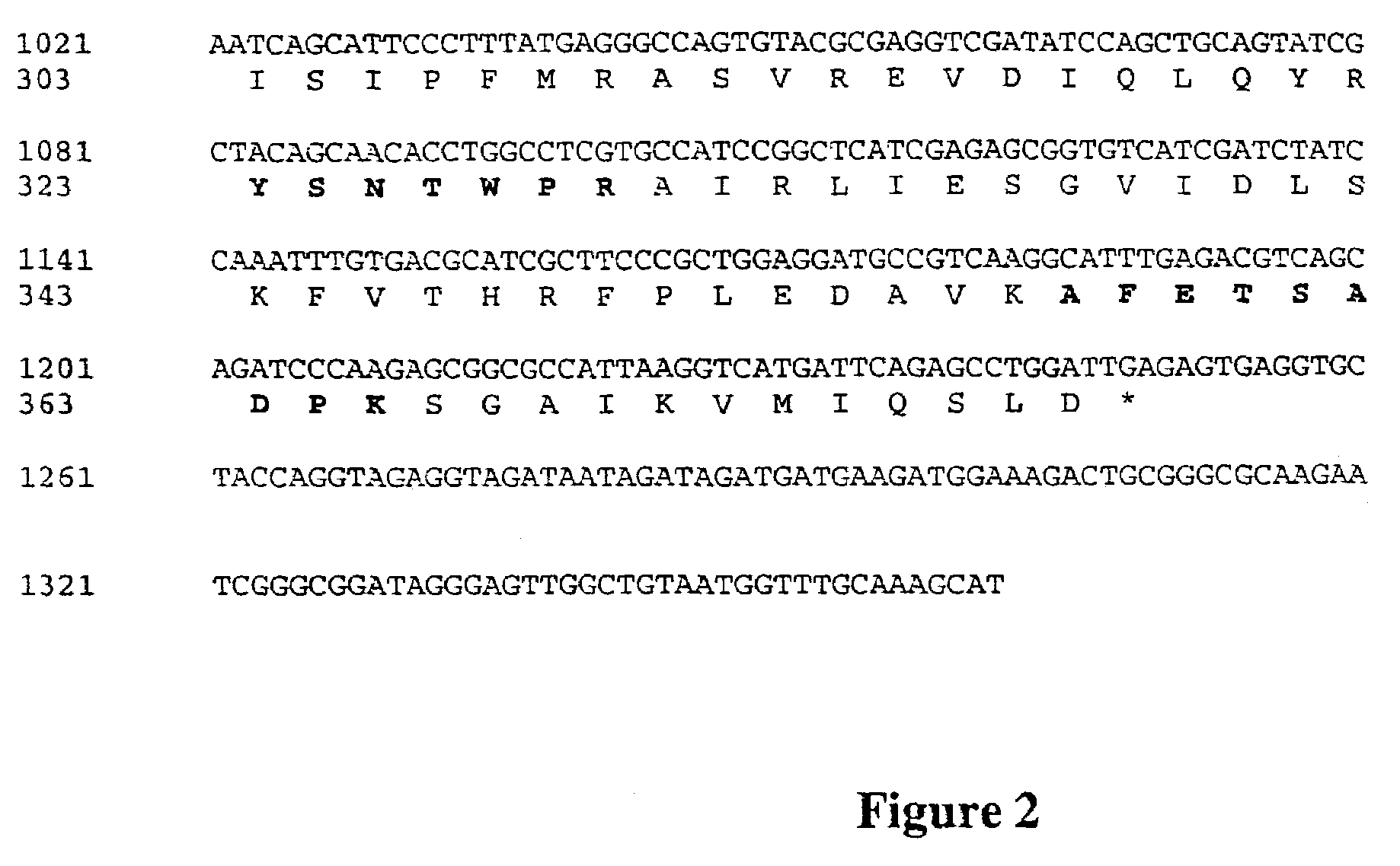 Engineering fungi for the utilisation of L-arabinose