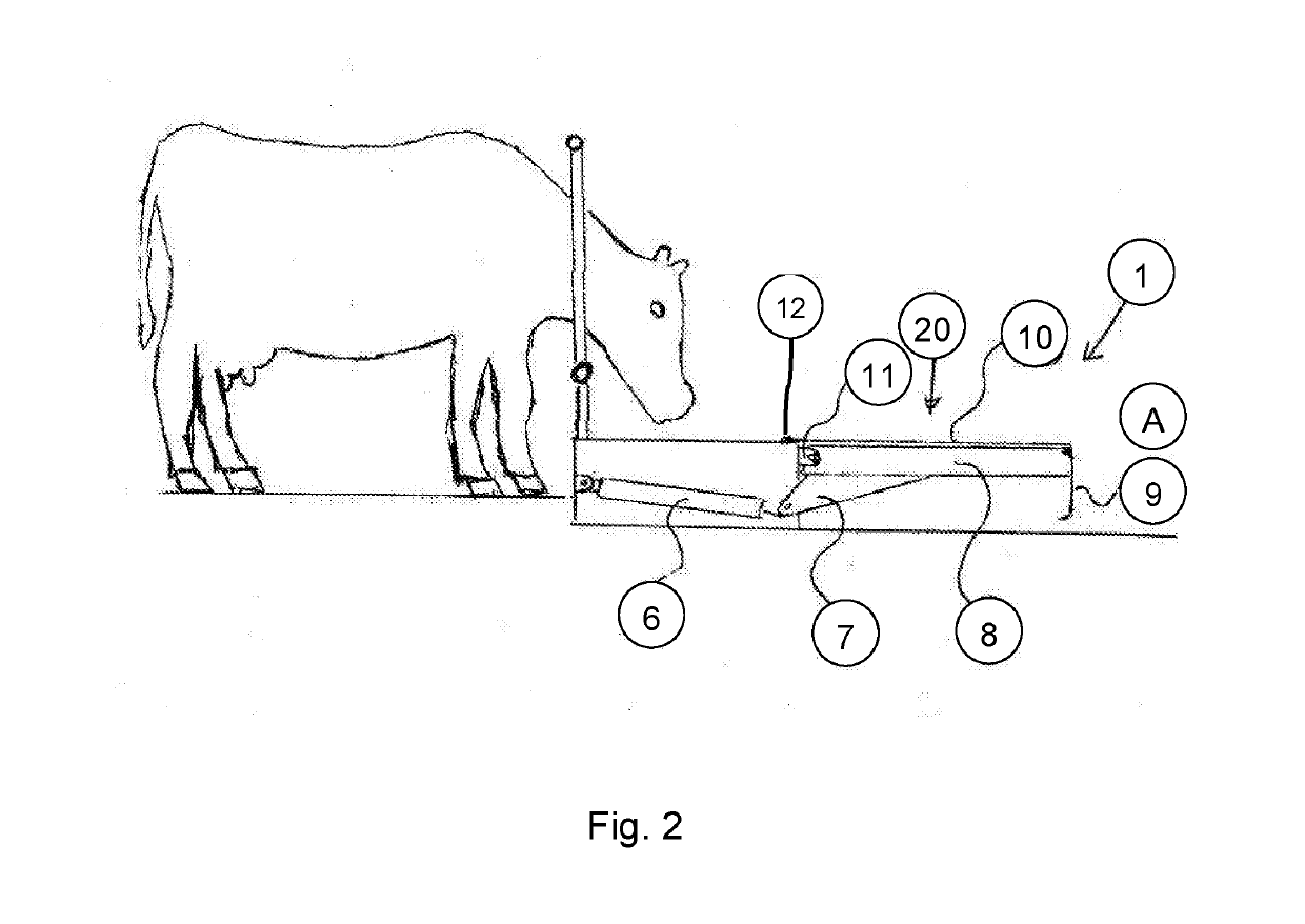 Feeding Device for Cattle and Small Livestock