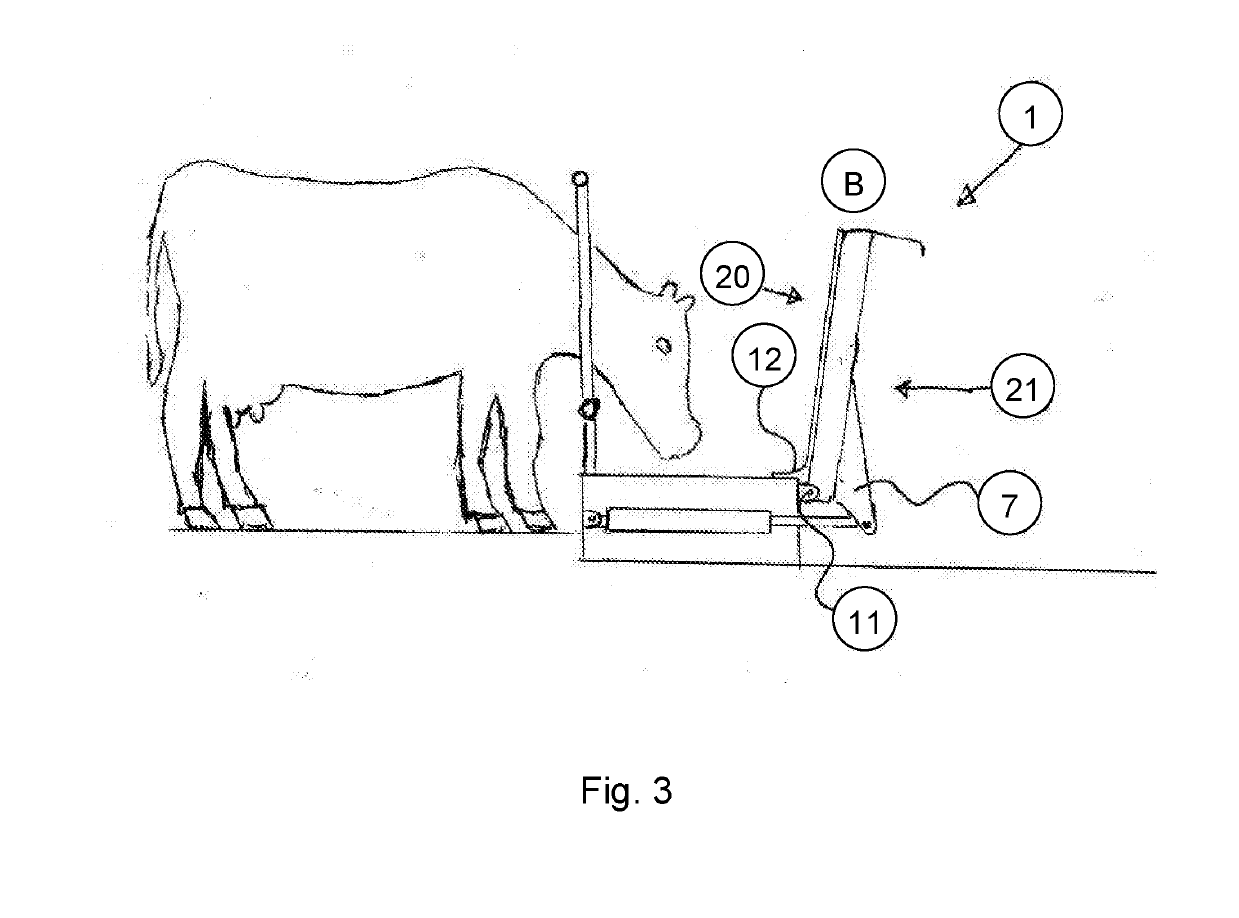 Feeding Device for Cattle and Small Livestock