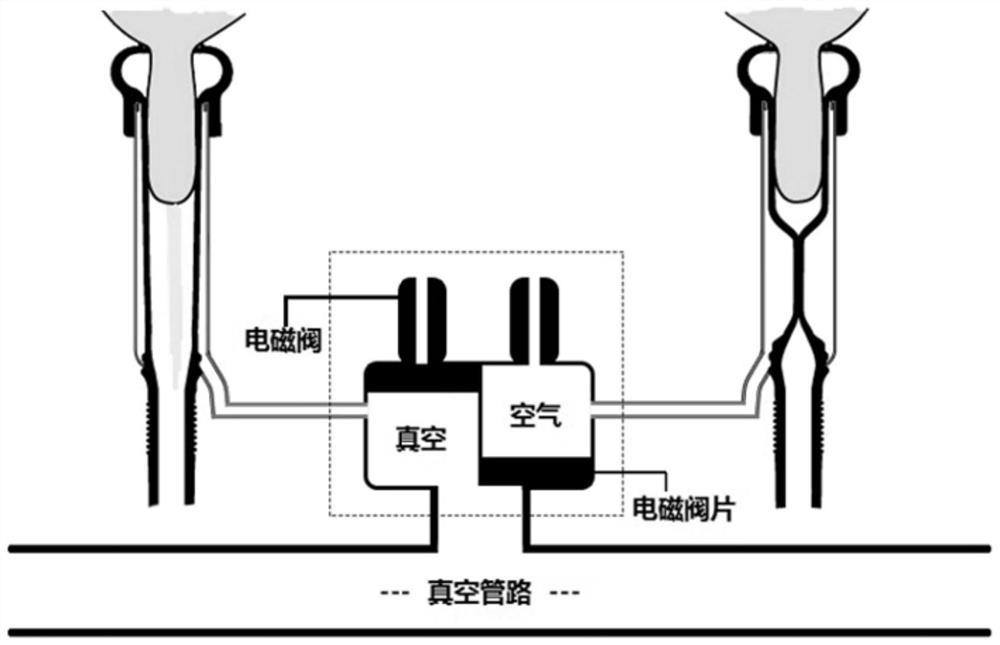 Multi-point pulsation monitoring system