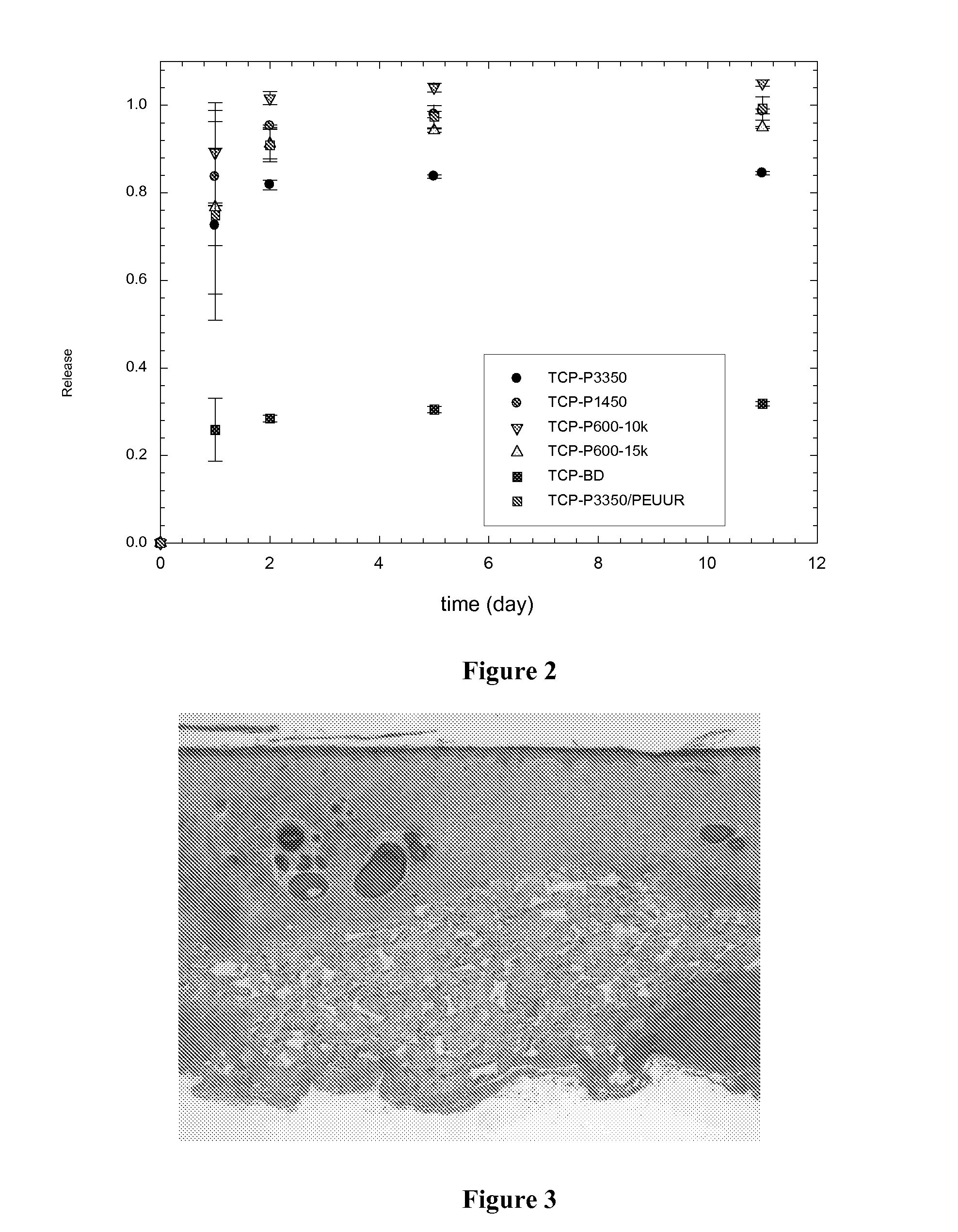 Release of antibiotic from injectable, biodegradable polyurethane scaffolds for enhanced bone fracture healing