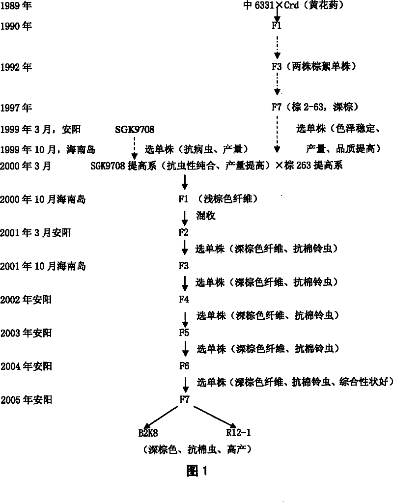 Breeding method for pest-resistant nigger-brown fibre new species of cotton