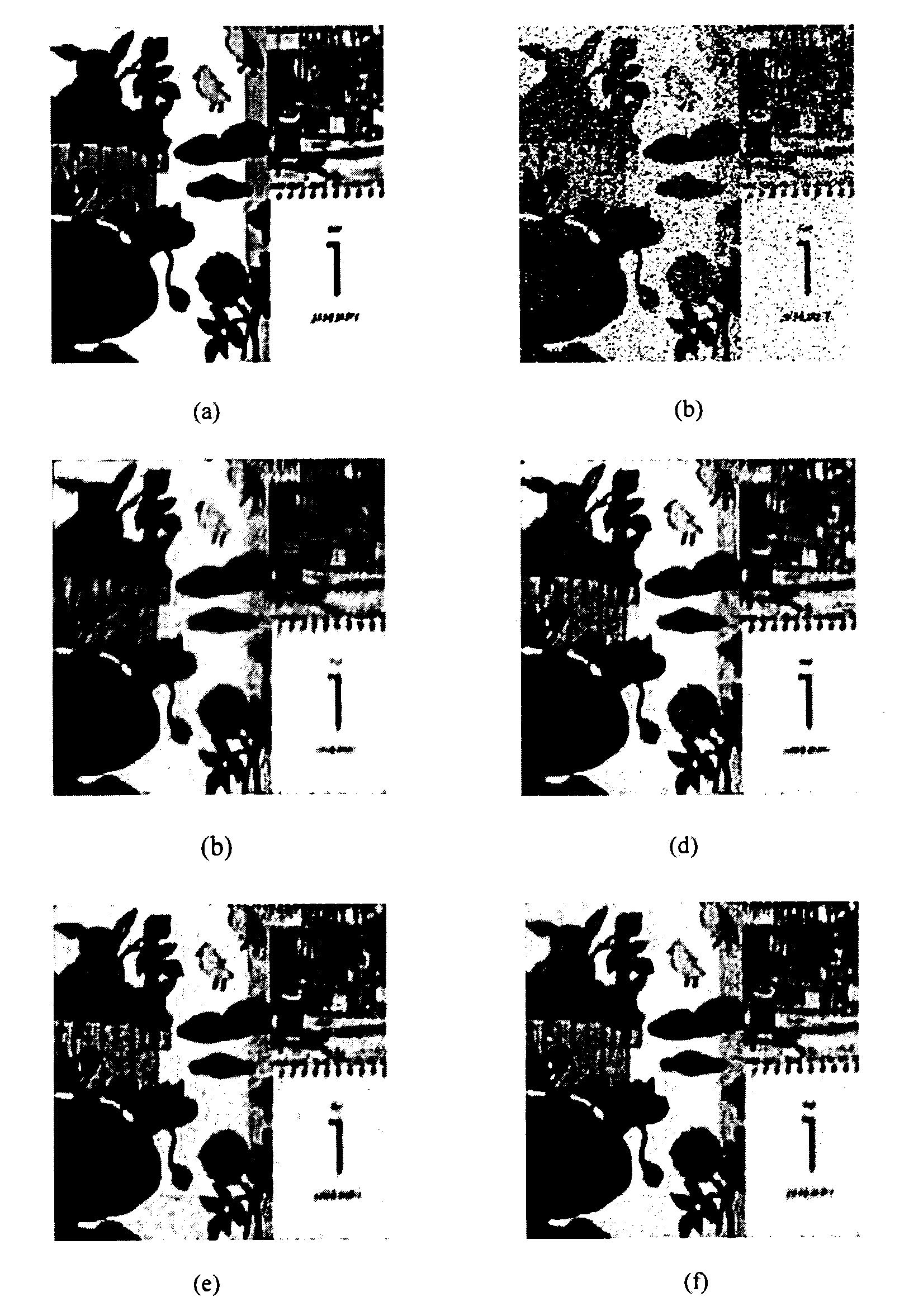 Method for denoising video based on surfacelet conversion characteristic