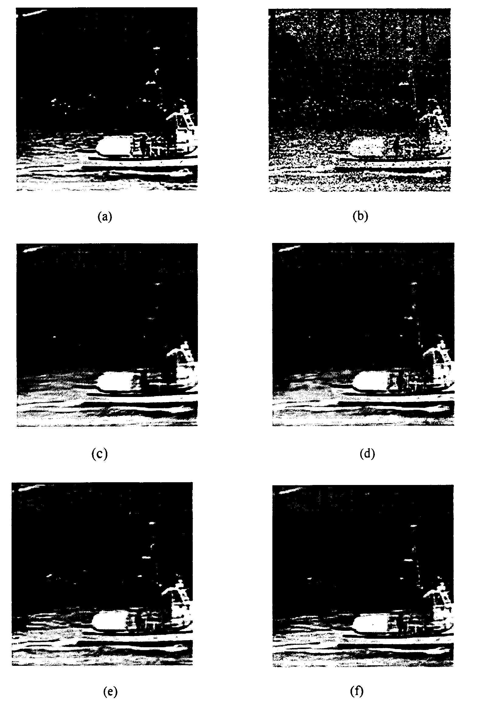 Method for denoising video based on surfacelet conversion characteristic