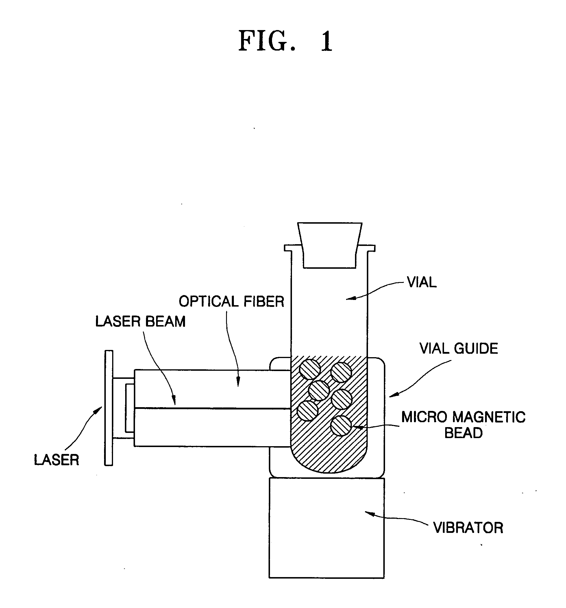 Method and apparatus for the rapid disruption of cells or viruses using micro magnetic beads and laser