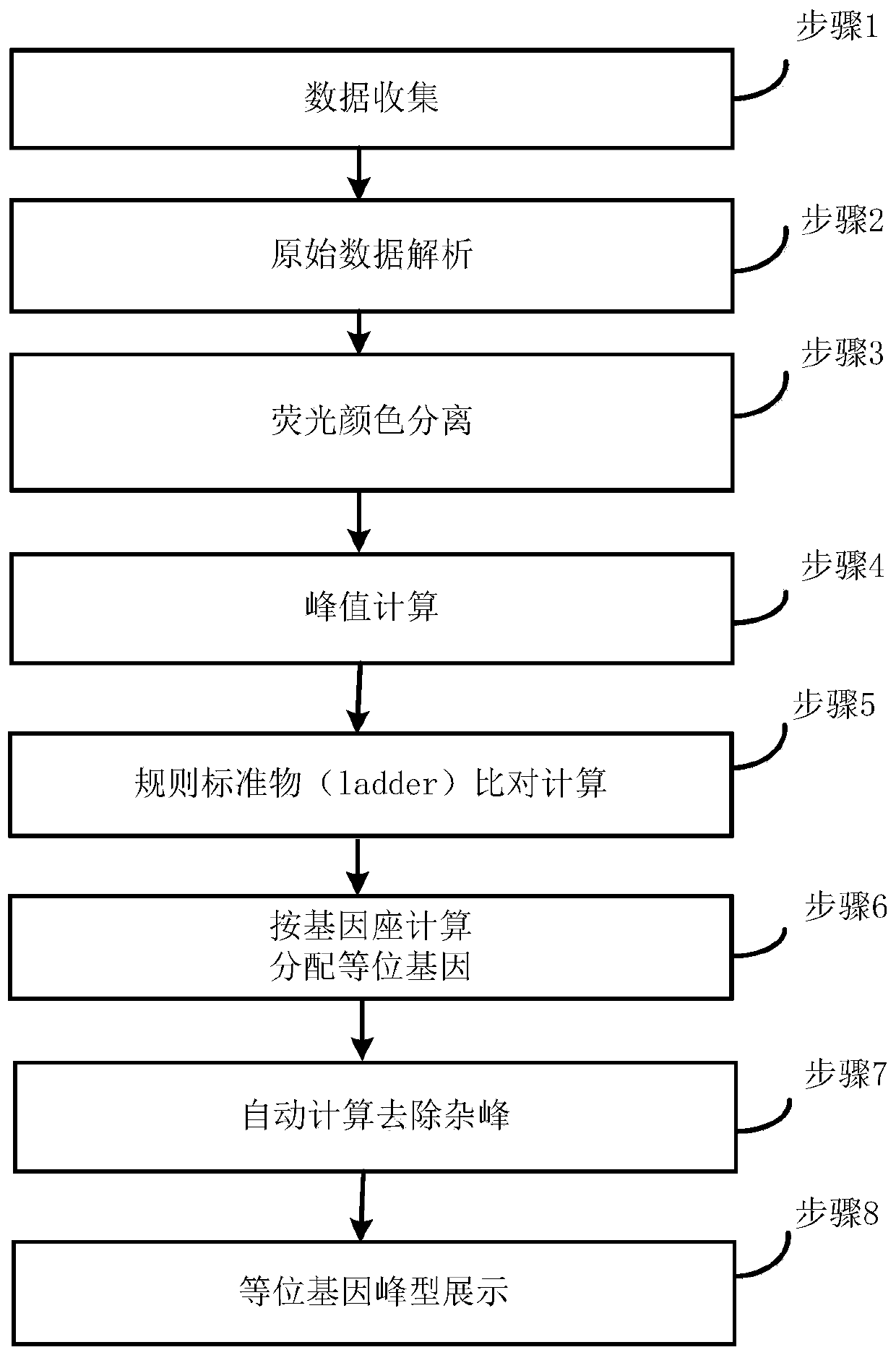 STR gene data analysis method