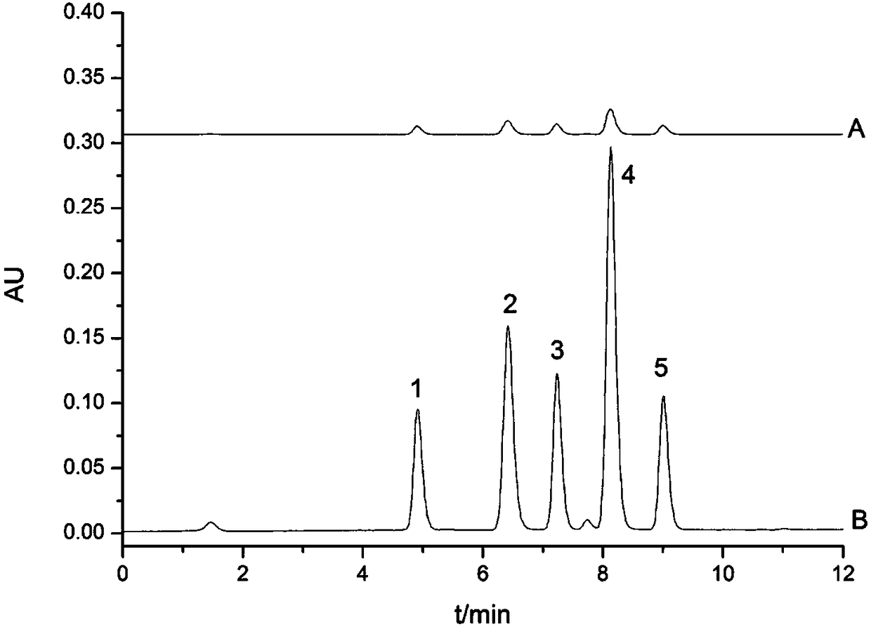 Dextran gel integral adsorption extraction stirring rod and preparation method and application thereof