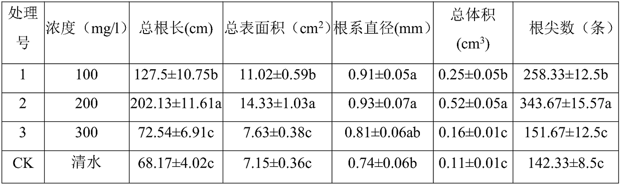 Hormone treatment measure for increasing cutting rooting rate of blueberries