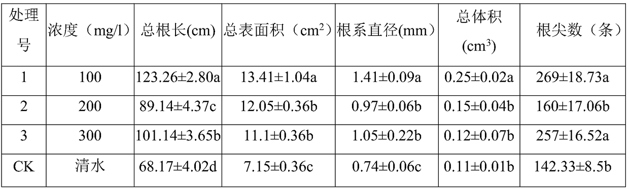 Hormone treatment measure for increasing cutting rooting rate of blueberries