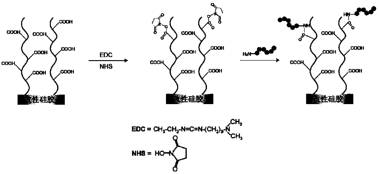 Polypeptide, detection device and detection kit containing the polypeptide