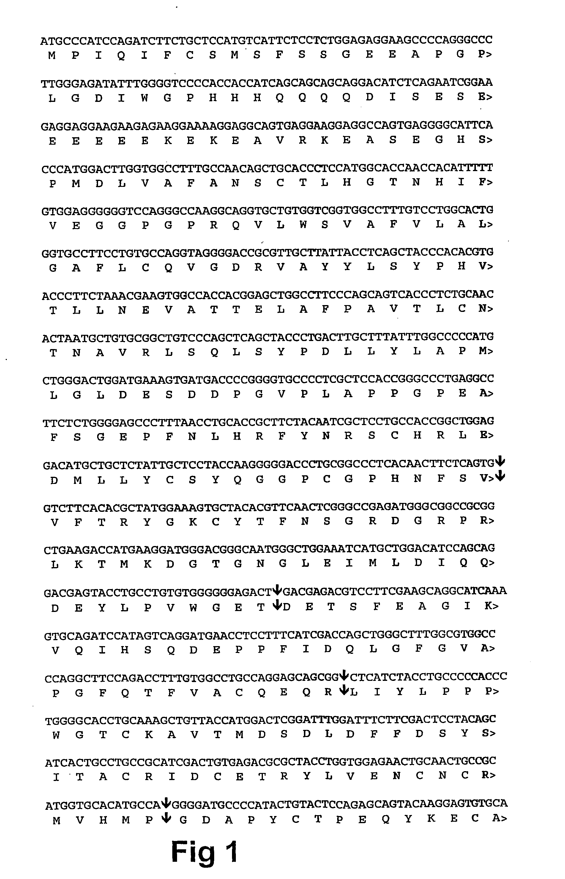 Novel human proton-gated channels