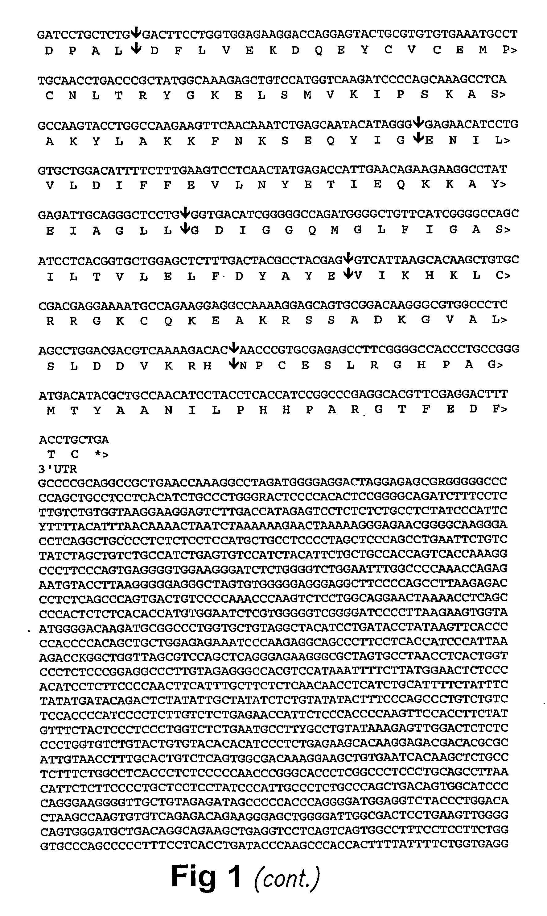 Novel human proton-gated channels