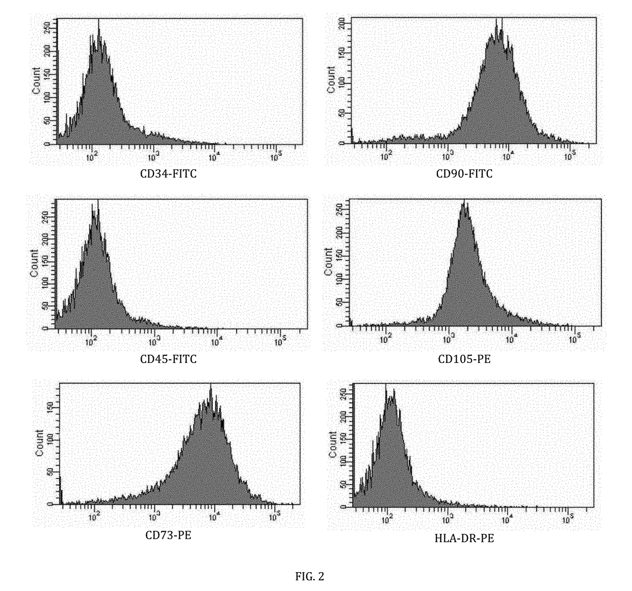 Cell-based composition and use thereof for treatment of acute stroke