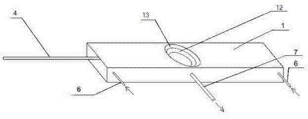 Sample inlet device of laser ablation plasma mass spectrum