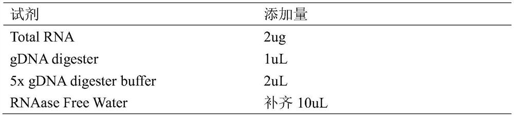 A kind of sericin peptide and its application