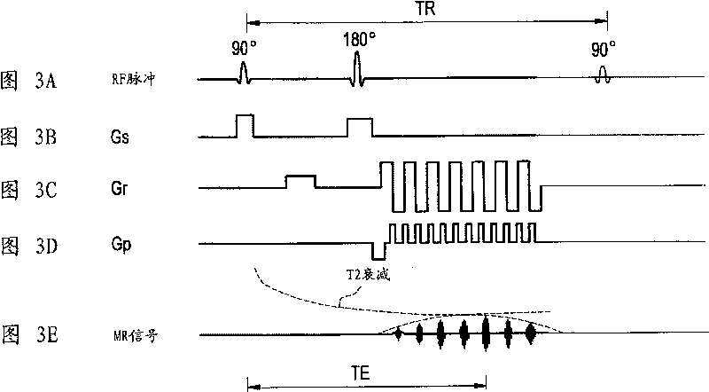 Nuclear magnetic resonance imager and nuclear magnetic resonance imaging method