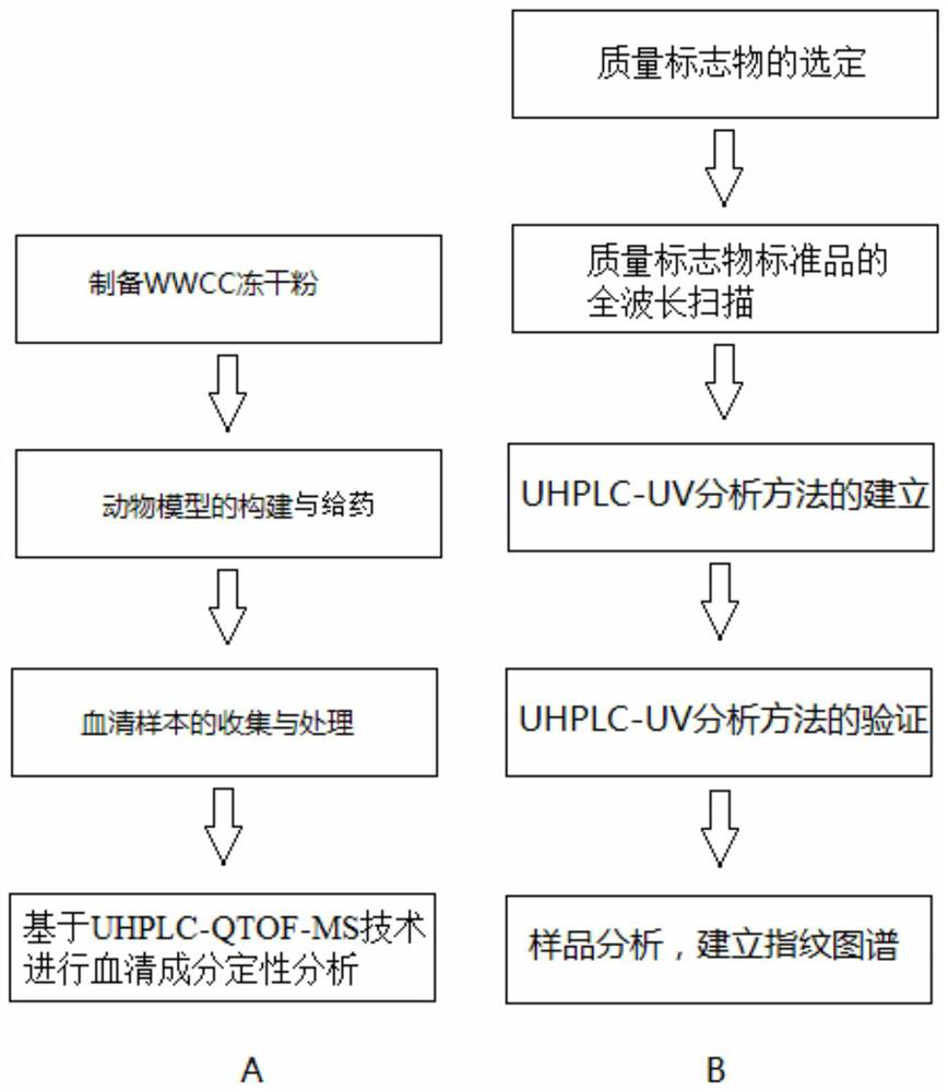 Quality evaluation method of five-ingredient capsule for warming and activating collaterals and eliminating arthralgia