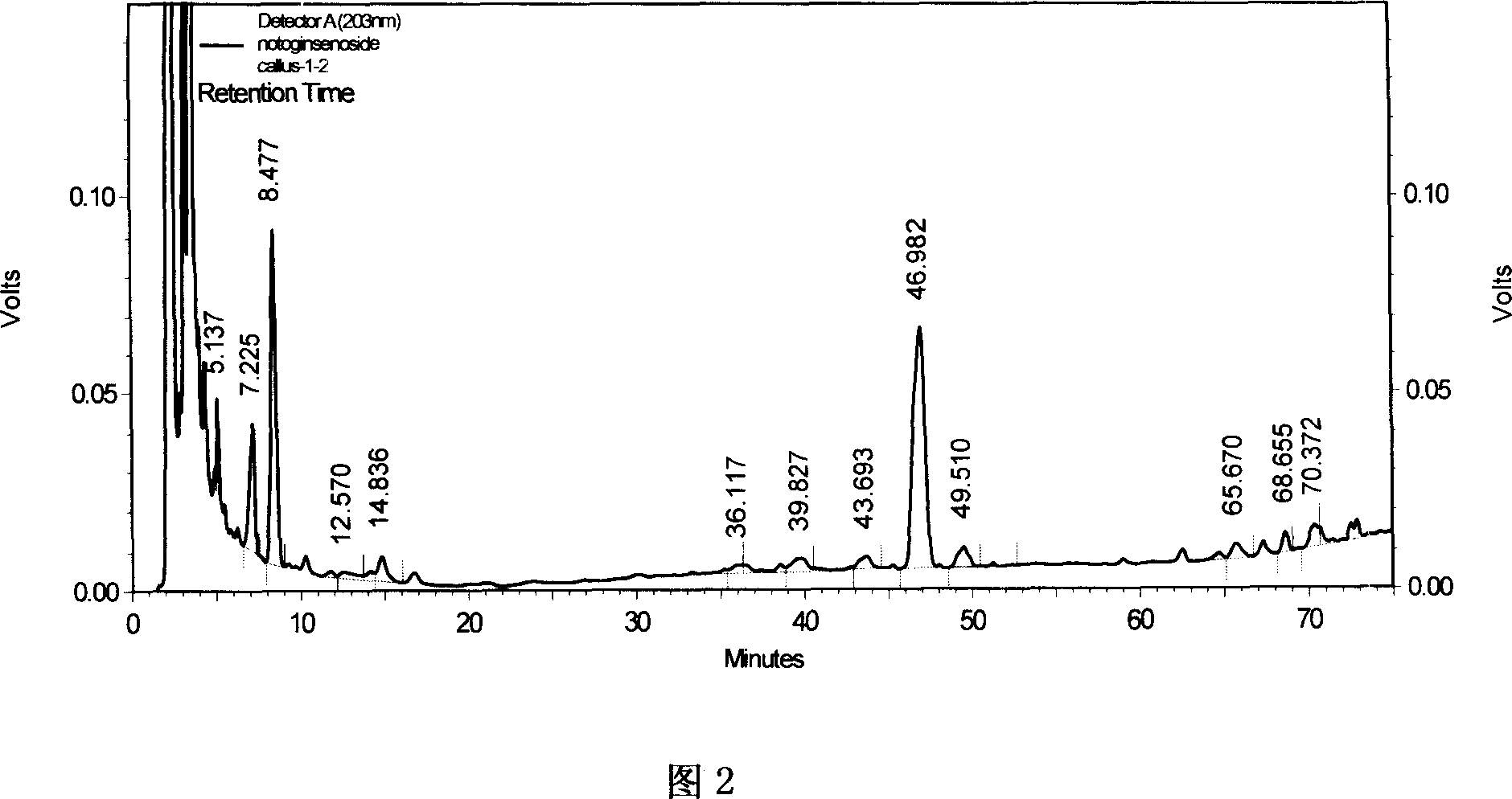 Method for tissue-culture and induction of adventitous root of pseudo-ginseng