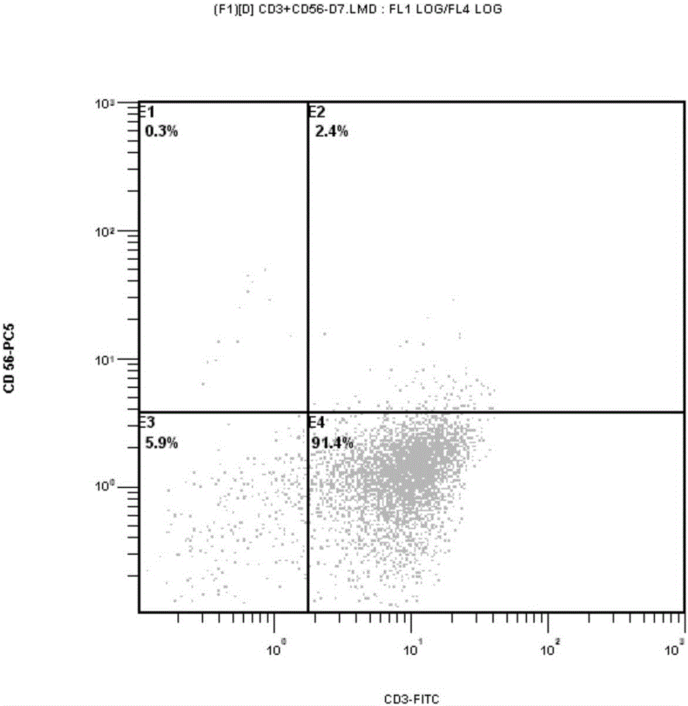 Targeting chimeric antigen receptor modified immune cell as well as preparation method and application thereof