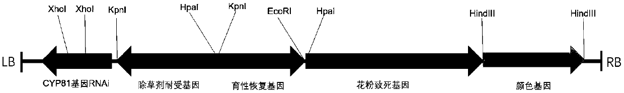 Plant hybridization system and application