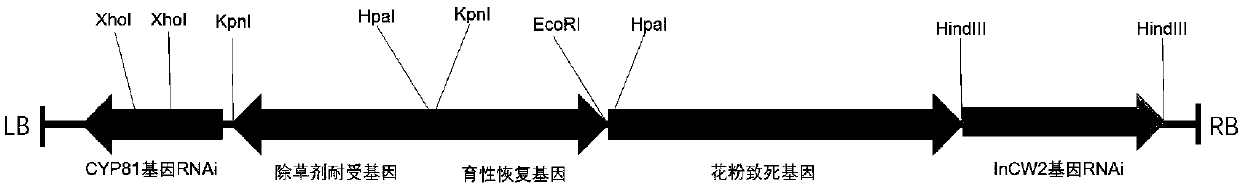 Plant hybridization system and application