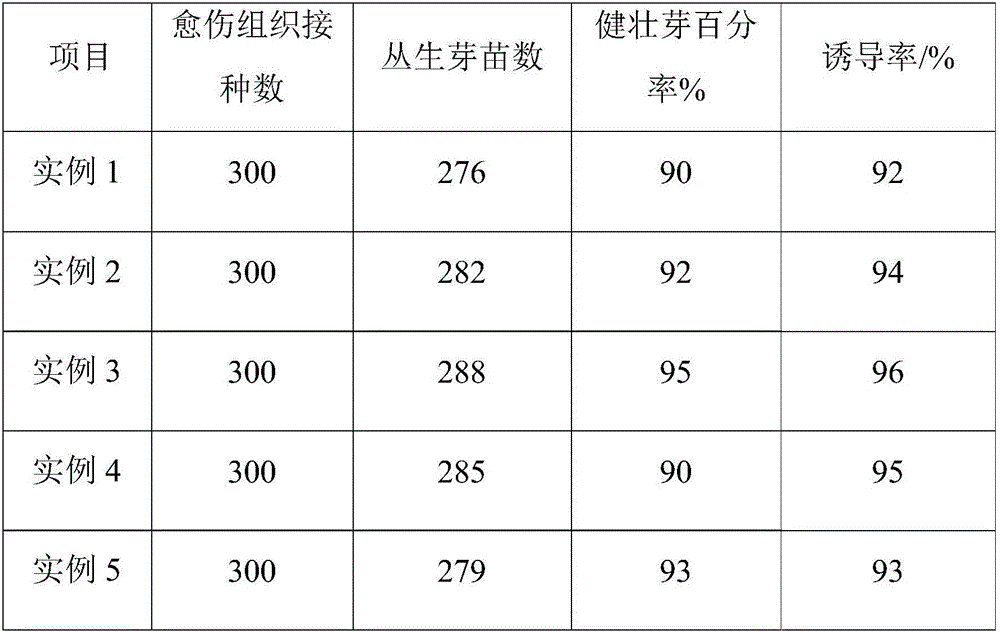 Scindapsus aureus cluster bud induced culture medium and scindapsus aureus cluster bud culture method