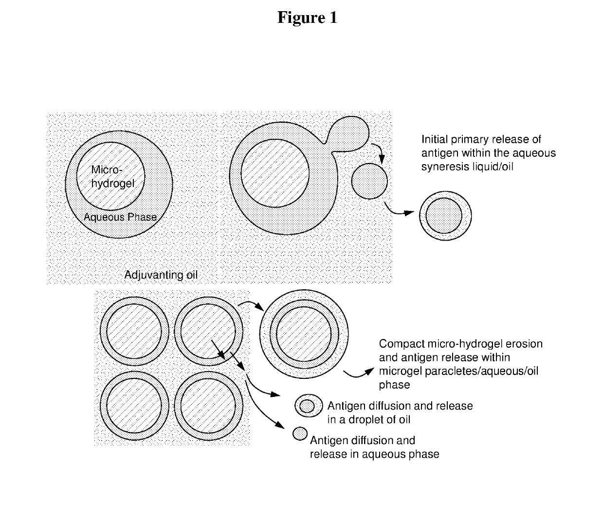 Injectable composition for delivery of a biologically active agent