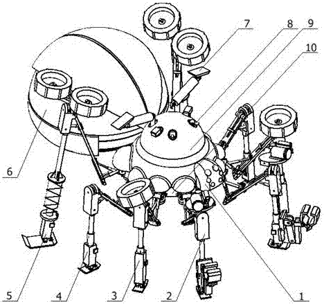 A deformable bionic search and rescue robot