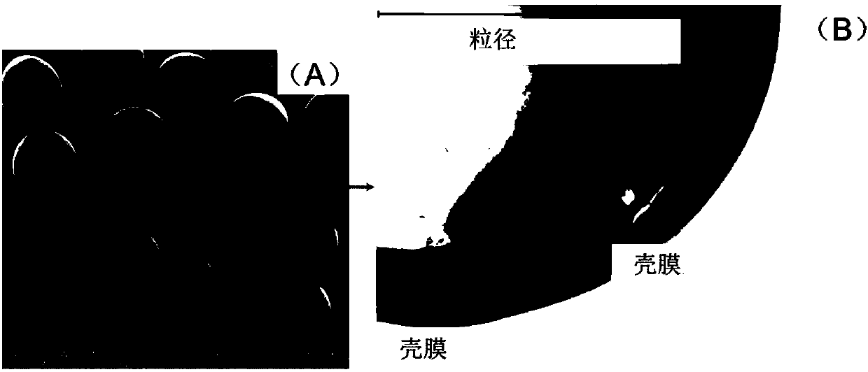 A kind of core-shell water-locking material and its preparation method and application